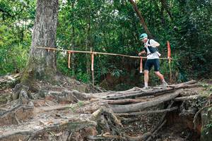 BIB: 
                            <button type="button" onclick="openModal(27803904)" class="btn btn-primary btn-sm float-right btn-popup" data-toggle="modal" data-target=".modal-high-quality">
                        <i class="fas fa-shopping-cart"></i> Add to Cart
                    </button>
                                            <button type="button" onclick="isThisMe(27803904, true)" class="btn btn-success btn-sm float-right btn-popup btn-isme hidden" data-toggle="tooltip" data-placement="bottom" title="นี่คือรูปของคุณใช่ไหม คลิกที่นี่เพื่อเอาเข้าอัลบั้ม">
                        <i class="fas fa-plus"></i> Add to album
                    </button>
                    <button type="button" onclick="isThisMe(27803904, false)" class="btn btn-warning btn-sm float-right btn-popup btn-isnotme hidden">
                        <i class="fas fa-ban"></i> Remove from album
                    </button>